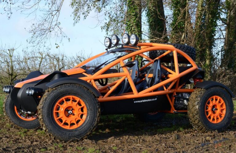 паспорт спортивного инвентаря для багги